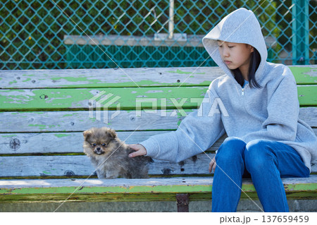 春の晴天の公園で可愛いポメラニアンの子犬と遊んでいる十代の女の子の姿	 137659459