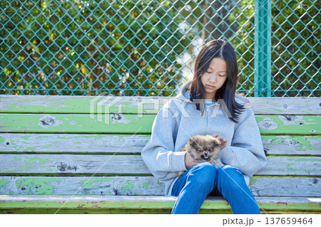 春の晴天の公園で可愛いポメラニアンの子犬と遊んでいる十代の女の子の姿	 137659464