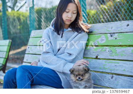 春の晴天の公園で可愛いポメラニアンの子犬と遊んでいる十代の女の子の姿	 137659467