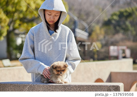 春の晴天の公園で可愛いポメラニアンの子犬と遊んでいる十代の女の子の姿	 137659508