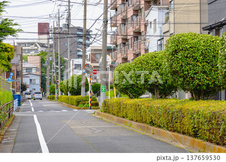 亀有駅周辺 亀有駅周辺 137659530