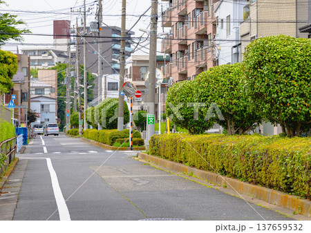 亀有駅周辺 137659532