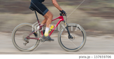 Mountain biker in action on a stone trail concept for healthy lifestyle, exercise and extreme sports.Bike panning shot Mountain biker in action on a stone trail concept for healthy lifestyle, exercise and extreme sports.Bike panning shot 137659706