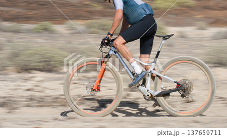 Mountain biker in action on a stone trail concept for healthy lifestyle, exercise and extreme sports.Bike panning shot Mountain biker in action on a stone trail concept for healthy lifestyle, exercise and extreme sports.Bike panning shot 137659711
