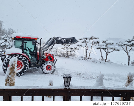 It's a snowy winter landscape	 137659727