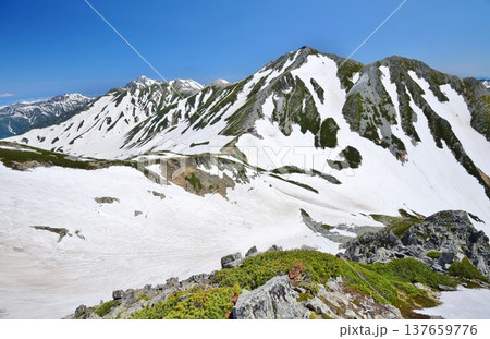夏の立山連峰縦走 137659776