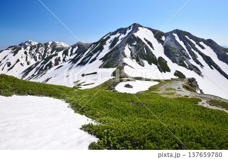 夏の立山連峰縦走 夏の立山連峰縦走 137659780