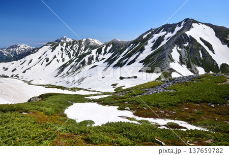 夏の立山連峰縦走 夏の立山連峰縦走 137659782