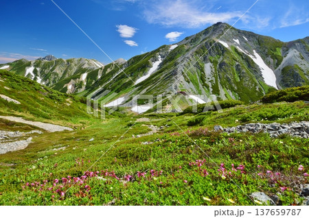 夏の立山連峰縦走 137659787