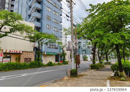 亀有駅周辺 亀有駅周辺 137659964