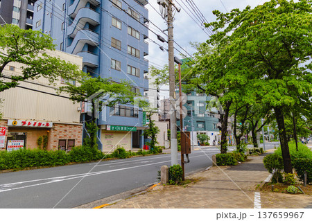 亀有駅周辺 137659967