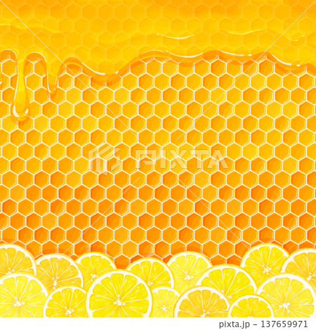 はちみつレモンのフレーム1_正方形 はちみつレモンのフレーム1_正方形 137659971