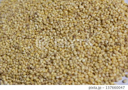 Close up of millet rice. Close up of millet rice. 137660047