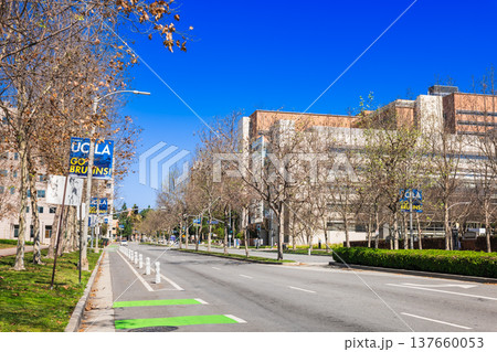 アメリカ UCLA ウエストウッド・プラザ アメリカ UCLA ウエストウッド・プラザ 137660053
