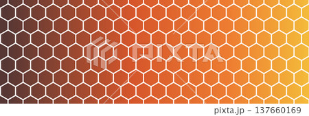 Pattern hexagon modern with fiber honeycomb vector for 3d abstract art. Background bee black with blue cell comb for dark digital effect. Fishnet football pattern with futuristic fiber grid. 137660169