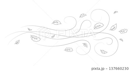 Doodle autumn leaves flying in the wind. Falling season outline backdrop, air flow leaves wave linear pattern or wind blowing doodle vector print. Autumn windy weather hand drawn monochrome background 137660230