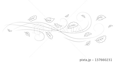 Doodle autumn leaves flying in the wind. Falling season outline backdrop, air flow leaves wave linear pattern or wind blowing doodle vector print. Autumn windy weather hand drawn monochrome background Doodle autumn leaves flying in the wind. Falling season outline backdrop, air flow leaves wave linear pattern or wind blowing doodle vector print. Autumn windy weather hand drawn monochrome background 137660231