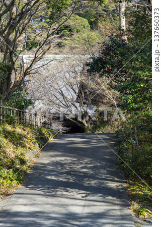 鎌倉2635 妙本寺2 祖師堂 鎌倉2635 妙本寺2 祖師堂 137660373