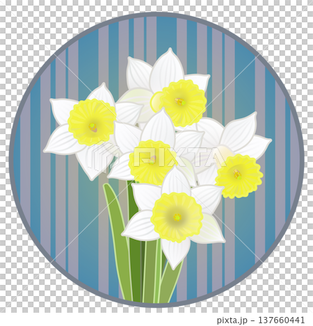 Illustration of a trumpet daffodil with a circular background 137660441