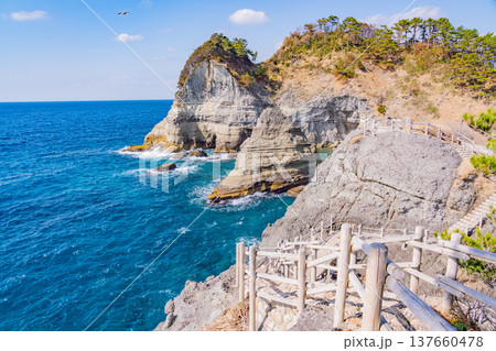 （静岡県）西伊豆・堂ヶ島　沢田公園の海 137660478