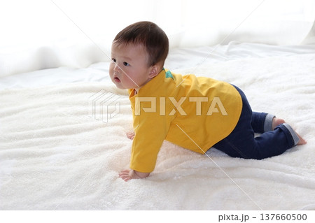 9ヵ月の赤ちゃん 9ヵ月の赤ちゃん 137660500