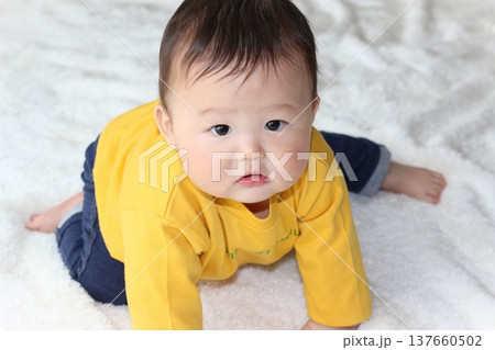 9ヵ月の赤ちゃん 9ヵ月の赤ちゃん 137660502