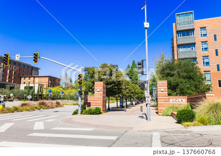 アメリカ UCLA(カリフォルニア大学ロサンゼルス校) アメリカ UCLA(カリフォルニア大学ロサンゼルス校) 137660768