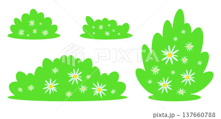 Set of flat green bushes and blooming shrubs with small white daisy flowers. Cartoon nature vector illustration isolated on white background 137660788