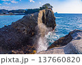 （静岡県）西伊豆町・堂ヶ島の海岸線 137660820