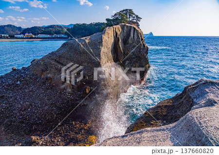 （静岡県）西伊豆町・堂ヶ島の海岸線 137660820