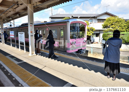 大雄山線和田河原駅に到着したピンク色の小田原行き電車 大雄山線和田河原駅に到着したピンク色の小田原行き電車 137661110
