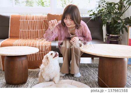 リビングでマルチーズと遊ぶ女性 犬のいる暮らし ペットと過ごすライフスタイル 137661588