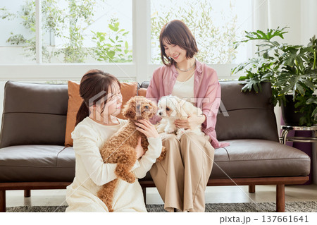 トイプードルとマルチーズと過ごす女性たち 犬のいる暮らしのライフスタイル 137661641