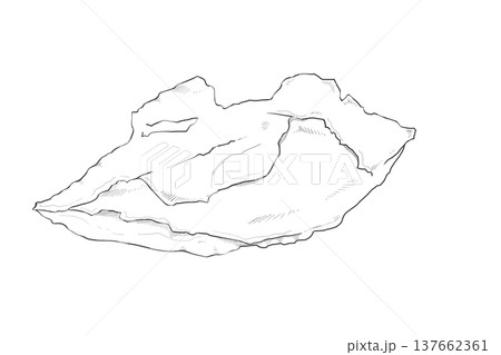 下鼻甲介 Inferior nasal concha 下鼻甲介 Inferior nasal concha 137662361