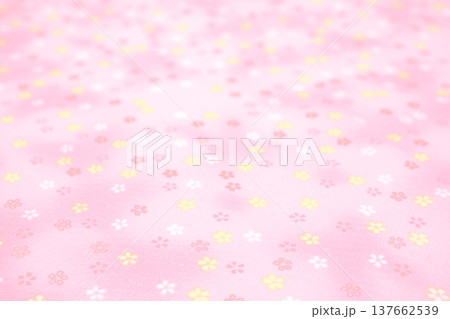 画面いっぱいの桜の花びら 137662539