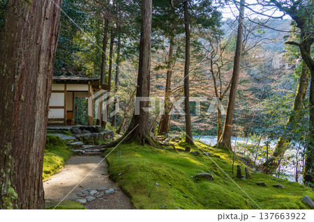 加賀温泉郷の渓流と森林風景(石川県) 加賀温泉郷の渓流と森林風景(石川県) 137663922