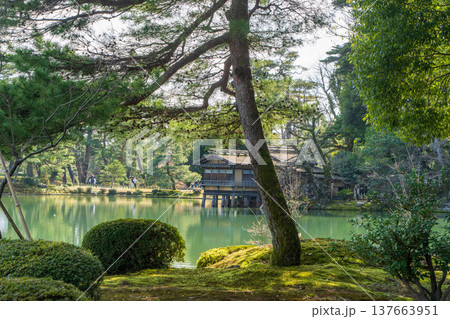 兼六園の池と茶屋がある日本庭園の風景（金沢 石川県 日本） 137663951