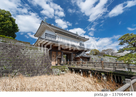 鶴丸城跡 御楼門と石橋（鹿児島市） 137664454
