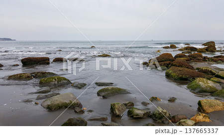 Moss-covered boulders adorn the sandy beach of a marine bay on the Kuril Islands. 137665337