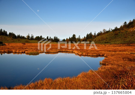 【草津白根山】月が沈む夜明けの弓池と黄金色に染まる草紅葉 137665804