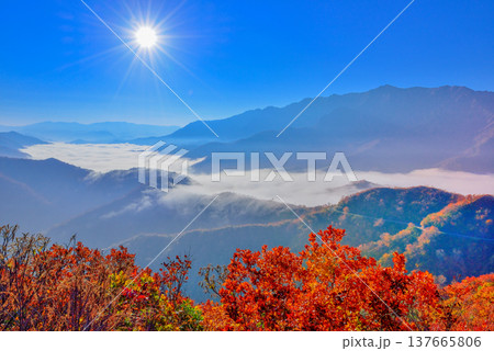 【雲海の絶景】新潟・枝折峠の滝雲と山々を照らす朝日 137665806