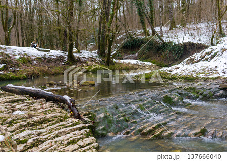 Winter landscape with a small river and a fallen tree in the foreground Winter landscape with a small river and a fallen tree in the foreground 137666040