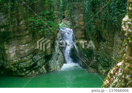 Waterfall in the mountain forest. Nature background. Waterfall in the mountain forest. Nature background. 137666066