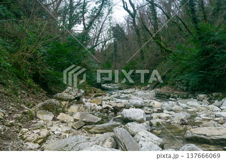 Mountain river in the forest in winter Mountain river in the forest in winter 137666069