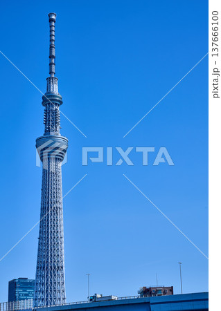 映えるスカイツリー 137666100