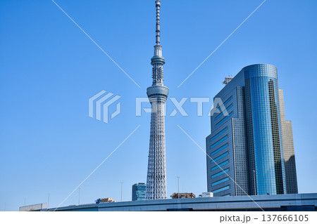 隅田川から見たスカイツリー 137666105