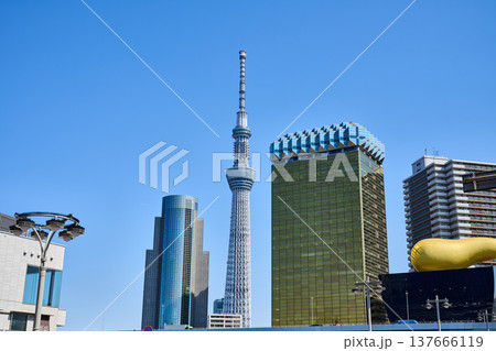 隅田川テラスから見たスカイツリー 137666119