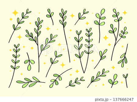 Cute set of hand drawn branches and leaves of bushes and trees. Aesthetic collection of plant icons.  Ideal for decorating and framing flyers, greeting cards, stickers, posters, invitations, covers. 137666247