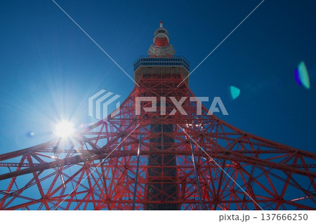 濃い青空に映える昼間の東京タワー、日本の首都を象徴する鮮やかな赤と白のランドマーク。 濃い青空に映える昼間の東京タワー、日本の首都を象徴する鮮やかな赤と白のランドマーク。 137666250