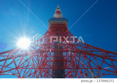 濃い青空に映える昼間の東京タワー、日本の首都を象徴する鮮やかな赤と白のランドマーク。 濃い青空に映える昼間の東京タワー、日本の首都を象徴する鮮やかな赤と白のランドマーク。 137666251